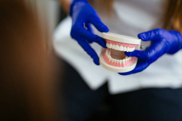 Best Dental Inlays and Onlays  in Lykens, PA